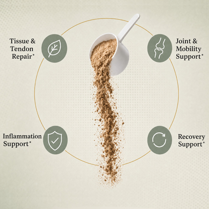 Advanced Recovery Blend